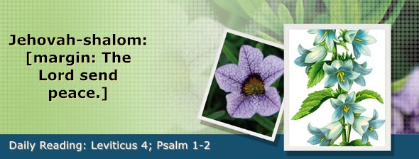 https://bibletruthpublishers.com/DailyLightEvening/wp-content/uploads/dl-hdg-2026-182.jpg