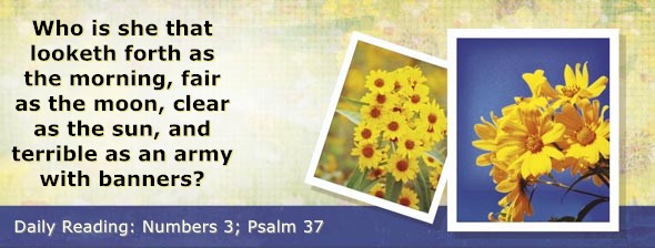 https://bibletruthpublishers.com/DailyLightEvening/wp-content/uploads/dl-hdg-2026-232.jpg