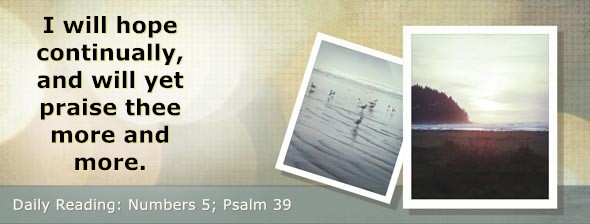 https://bibletruthpublishers.com/DailyLightEvening/wp-content/uploads/dl-hdg-2026-236.jpg
