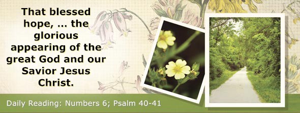 https://bibletruthpublishers.com/DailyLightEvening/wp-content/uploads/dl-hdg-2026-238.jpg