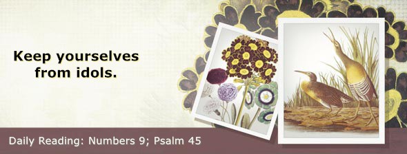 https://bibletruthpublishers.com/DailyLightEvening/wp-content/uploads/dl-hdg-2026-244.jpg