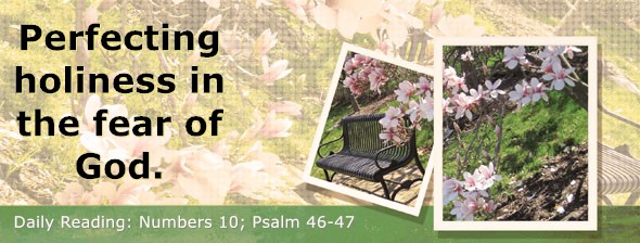 https://bibletruthpublishers.com/DailyLightEvening/wp-content/uploads/dl-hdg-2026-246.jpg