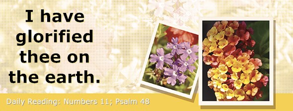 https://bibletruthpublishers.com/DailyLightEvening/wp-content/uploads/dl-hdg-2026-248.jpg
