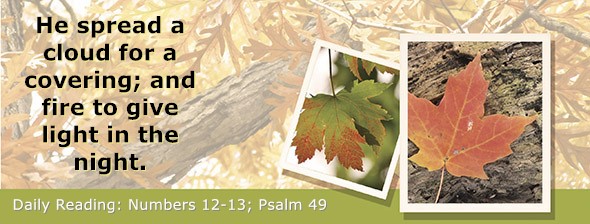 https://bibletruthpublishers.com/DailyLightEvening/wp-content/uploads/dl-hdg-2026-250.jpg