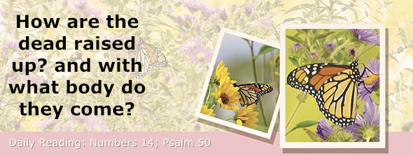 https://bibletruthpublishers.com/DailyLightEvening/wp-content/uploads/dl-hdg-2026-252.jpg