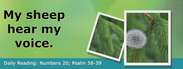 https://bibletruthpublishers.com/DailyLightEvening/wp-content/uploads/dl-hdg-2026-262.jpg