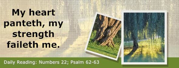https://bibletruthpublishers.com/DailyLightEvening/wp-content/uploads/dl-hdg-2026-266.jpg