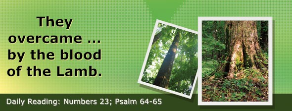 https://bibletruthpublishers.com/DailyLightEvening/wp-content/uploads/dl-hdg-2026-268.jpg
