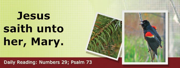 https://bibletruthpublishers.com/DailyLightEvening/wp-content/uploads/dl-hdg-2026-280.jpg
