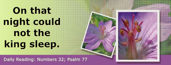 https://bibletruthpublishers.com/DailyLightEvening/wp-content/uploads/dl-hdg-2026-286.jpg