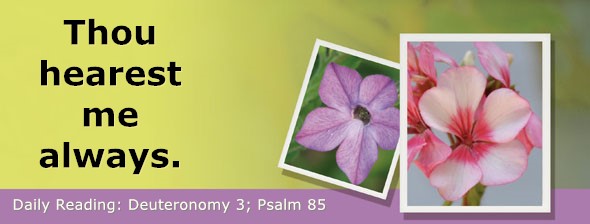 https://bibletruthpublishers.com/DailyLightEvening/wp-content/uploads/dl-hdg-2026-300.jpg