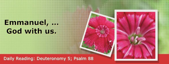 https://bibletruthpublishers.com/DailyLightEvening/wp-content/uploads/dl-hdg-2026-304.jpg