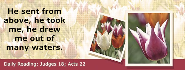 https://bibletruthpublishers.com/DailyLightEvening/wp-content/uploads/dl-hdg-2026-432.jpg