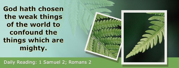 https://bibletruthpublishers.com/DailyLightEvening/wp-content/uploads/dl-hdg-2026-448.jpg