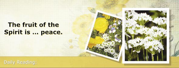https://bibletruthpublishers.com/DailyLightMorning/wp-content/uploads/dl-hdg-2020-243.jpg
