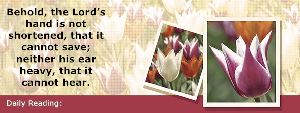 https://bibletruthpublishers.com/DailyLightMorning/wp-content/uploads/dl-hdg-2020-249.jpg