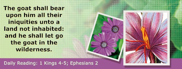 https://bibletruthpublishers.com/DailyLightMorning/wp-content/uploads/dl-hdg-2025-549.jpg