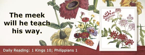 https://bibletruthpublishers.com/DailyLightMorning/wp-content/uploads/dl-hdg-2025-559.jpg