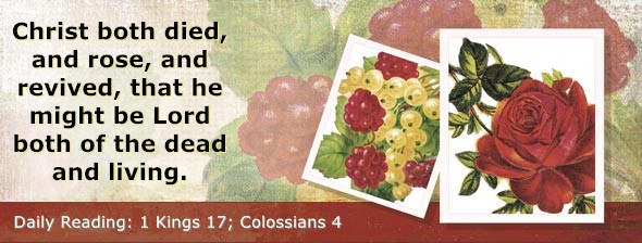 https://bibletruthpublishers.com/DailyLightMorning/wp-content/uploads/dl-hdg-2025-573.jpg