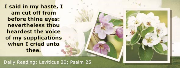 https://bibletruthpublishers.com/DailyLightMorning/wp-content/uploads/dl-hdg-2026-211.jpg