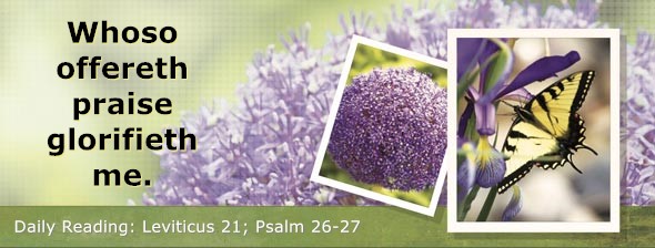 https://bibletruthpublishers.com/DailyLightMorning/wp-content/uploads/dl-hdg-2026-213.jpg