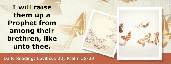 https://bibletruthpublishers.com/DailyLightMorning/wp-content/uploads/dl-hdg-2026-215.jpg