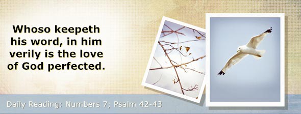 https://bibletruthpublishers.com/DailyLightMorning/wp-content/uploads/dl-hdg-2026-239.jpg