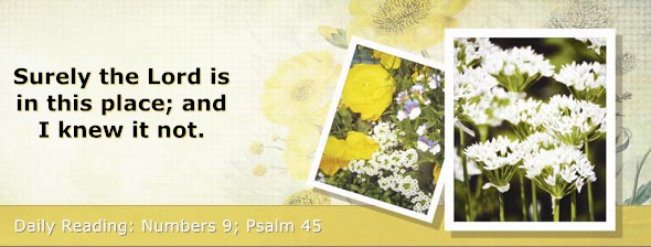 https://bibletruthpublishers.com/DailyLightMorning/wp-content/uploads/dl-hdg-2026-243.jpg