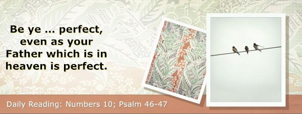 https://bibletruthpublishers.com/DailyLightMorning/wp-content/uploads/dl-hdg-2026-245.jpg