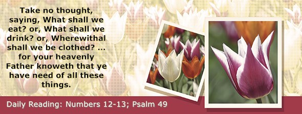 https://bibletruthpublishers.com/DailyLightMorning/wp-content/uploads/dl-hdg-2026-249.jpg