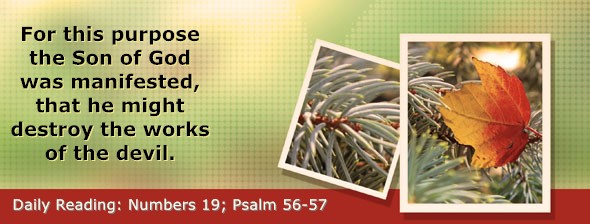 https://bibletruthpublishers.com/DailyLightMorning/wp-content/uploads/dl-hdg-2026-259.jpg