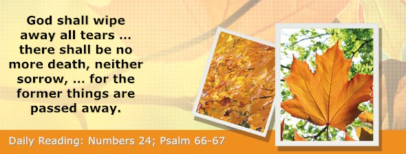 https://bibletruthpublishers.com/DailyLightMorning/wp-content/uploads/dl-hdg-2026-269.jpg