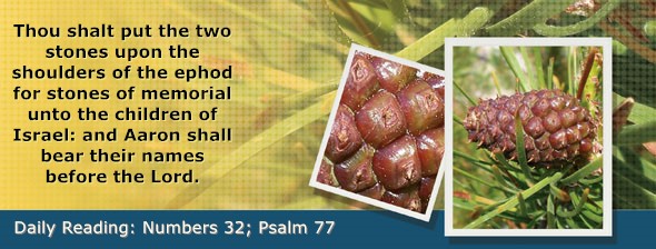 https://bibletruthpublishers.com/DailyLightMorning/wp-content/uploads/dl-hdg-2026-285.jpg