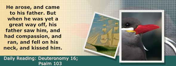 https://bibletruthpublishers.com/DailyLightMorning/wp-content/uploads/dl-hdg-2026-323.jpg