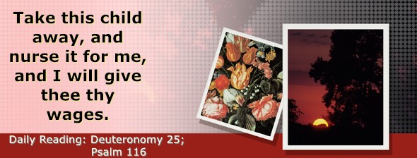 https://bibletruthpublishers.com/DailyLightMorning/wp-content/uploads/dl-hdg-2026-341.jpg