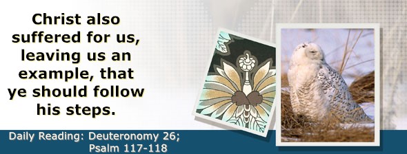 https://bibletruthpublishers.com/DailyLightMorning/wp-content/uploads/dl-hdg-2026-343.jpg