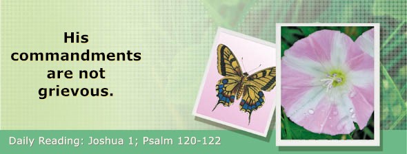 https://bibletruthpublishers.com/DailyLightMorning/wp-content/uploads/dl-hdg-2026-359.jpg