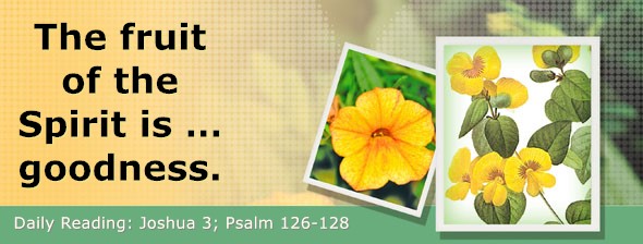 https://bibletruthpublishers.com/DailyLightMorning/wp-content/uploads/dl-hdg-2026-363.jpg