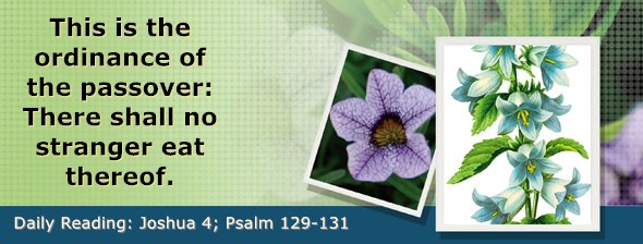 https://bibletruthpublishers.com/DailyLightMorning/wp-content/uploads/dl-hdg-2026-365.jpg