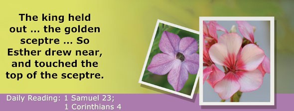 https://bibletruthpublishers.com/DailyLightMorning/wp-content/uploads/dl-hdg-2026-483.jpg