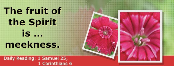 https://bibletruthpublishers.com/DailyLightMorning/wp-content/uploads/dl-hdg-2026-487.jpg