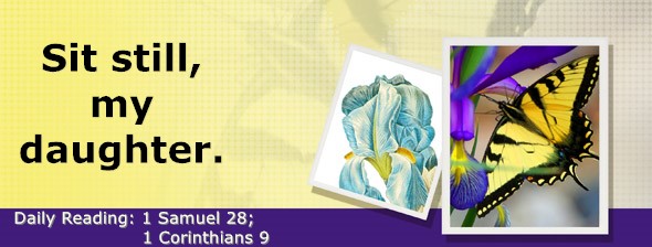 https://bibletruthpublishers.com/DailyLightMorning/wp-content/uploads/dl-hdg-2026-493.jpg