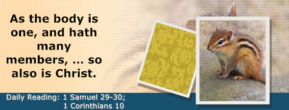 https://bibletruthpublishers.com/DailyLightMorning/wp-content/uploads/dl-hdg-2026-495.jpg