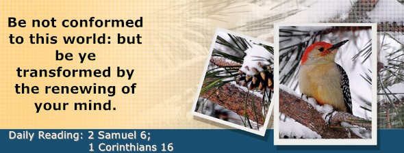 https://bibletruthpublishers.com/DailyLightMorning/wp-content/uploads/dl-hdg-2026-507.jpg