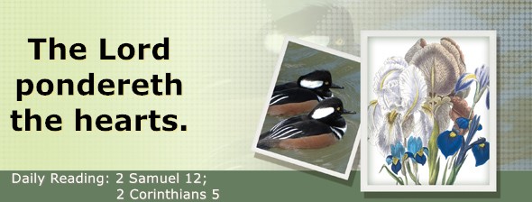 https://bibletruthpublishers.com/DailyLightMorning/wp-content/uploads/dl-hdg-2026-517.jpg