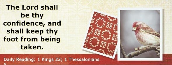 https://bibletruthpublishers.com/DailyLightMorning/wp-content/uploads/dl-hdg-2026-583.jpg