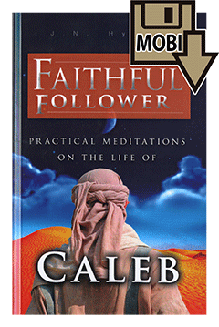 Faithful Follower: Practical Meditations on the Life of Caleb by James Nelson Hyland