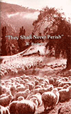 They Shall Never Perish by William Barker