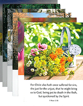 Scenic and Floral Scripture Greetings Correspondence Pack: 4x6 CFL Set, Assorted Verses, Blank Inside by TBS, King James Version