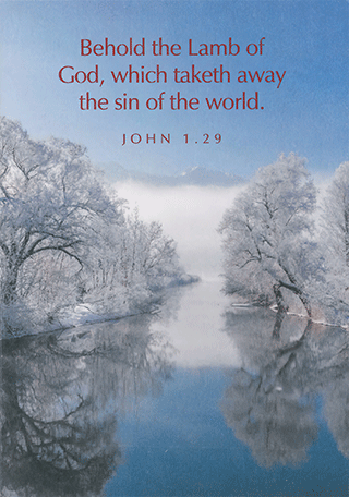 Scenic and Floral Scripture Greetings Correspondence Pack: 4x6 CFS Set, Assorted Scenes and Verses, Blank Inside by TBS